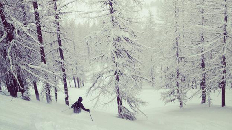 Skier in Snowy Forest — White