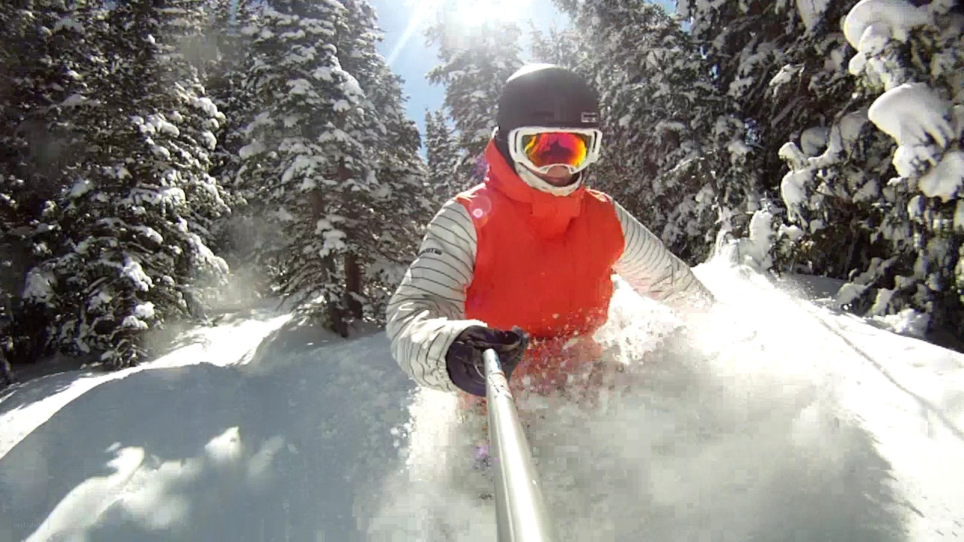 Skier in snowy forest