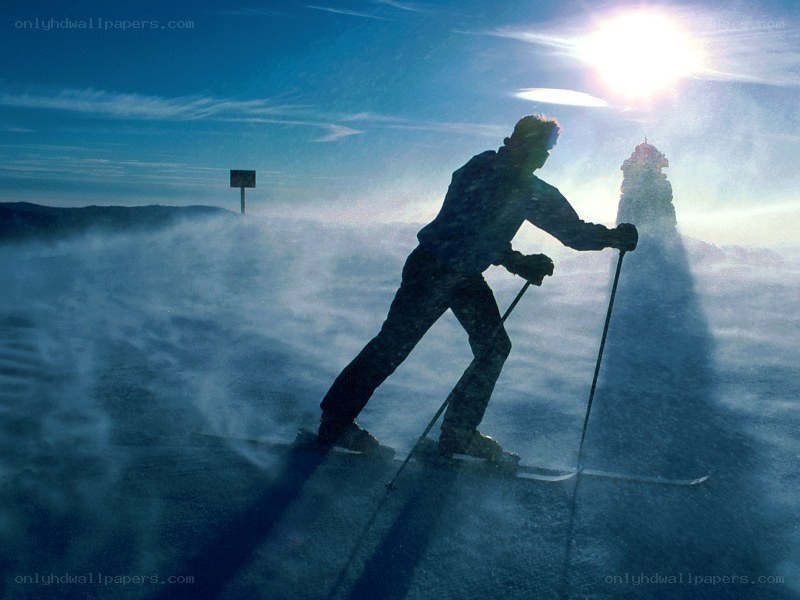 Skier in snowy landscape