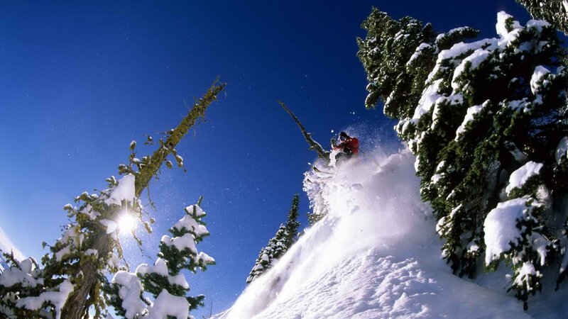 Skier jumping in powder snow