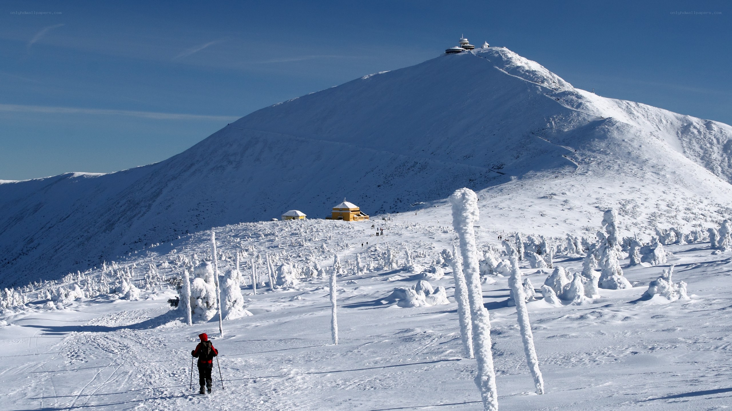 Skier on snowy mountain