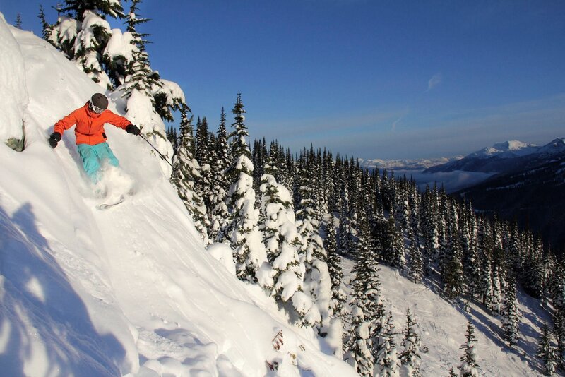 Skier on snowy mountain slope