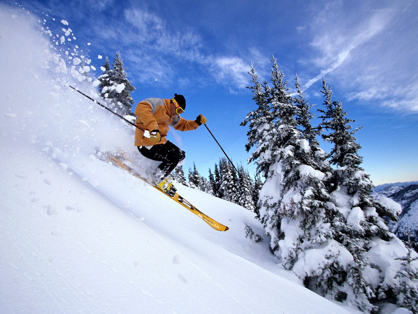 Skier on snowy slope