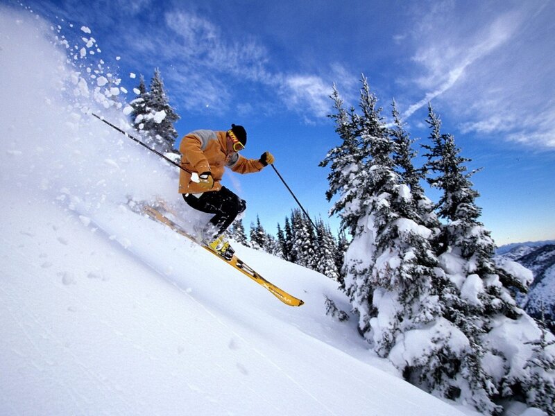 Skier on snowy slope