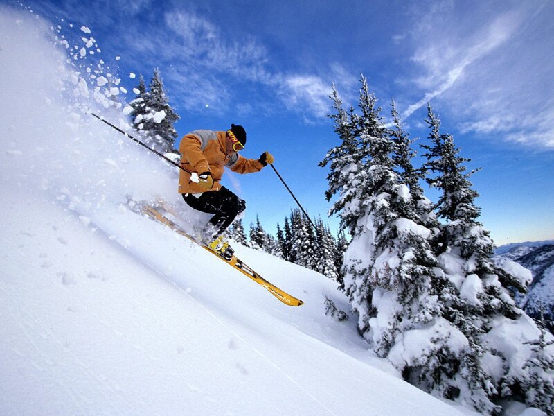 Skier on Snowy Slope — White, Dynamic, Winter, Photograph