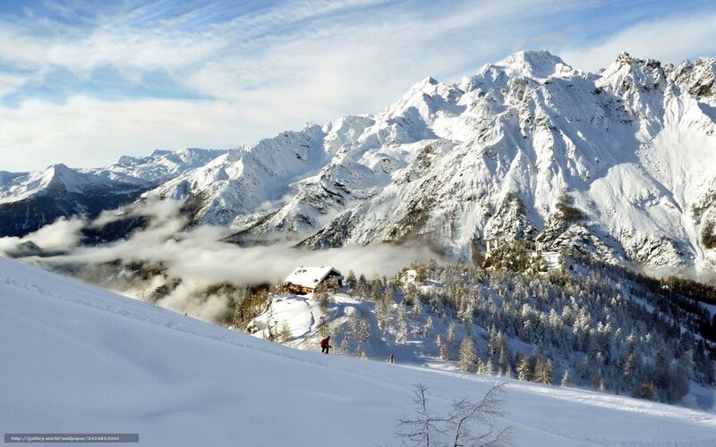Skier on Snowy Slope — White, Serene, Winter, Photograph, Mountains, Trees