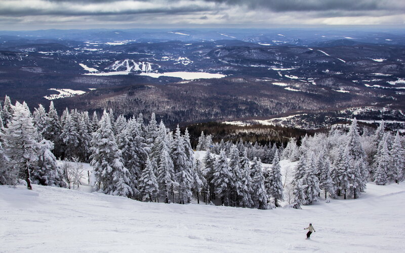Skier on Snowy Slope — White, Serene, Winter, Photograph, Snow-covered Trees, Mountains