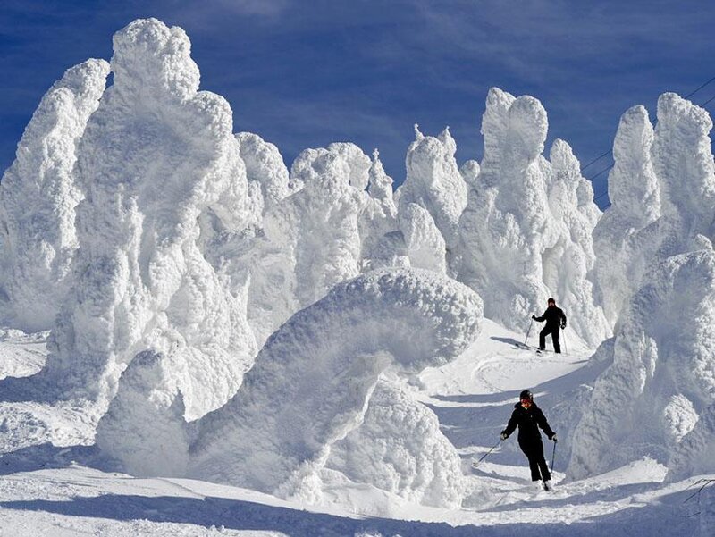 Skiers in Snow-covered Forest