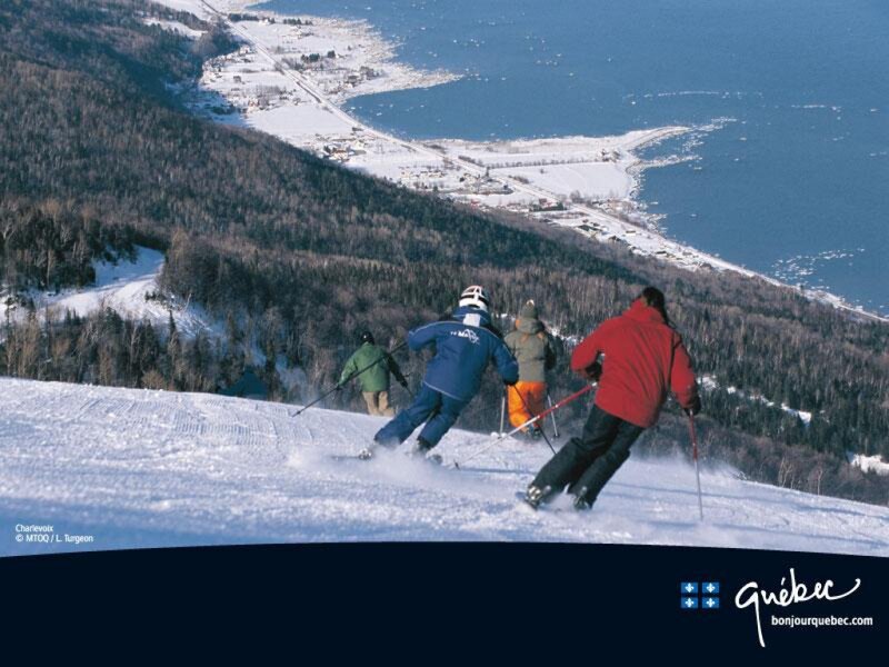 Skiers on a Slope