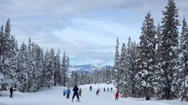 Skiers on a snowy mountain slope