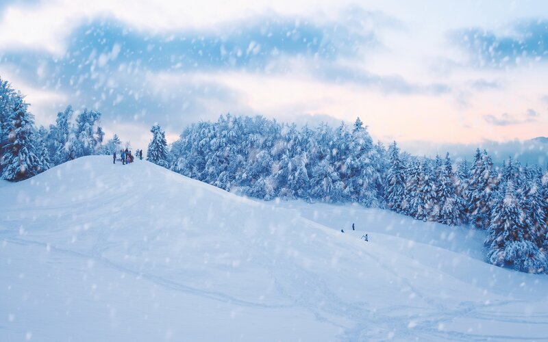 Skiers on Snowy Hill