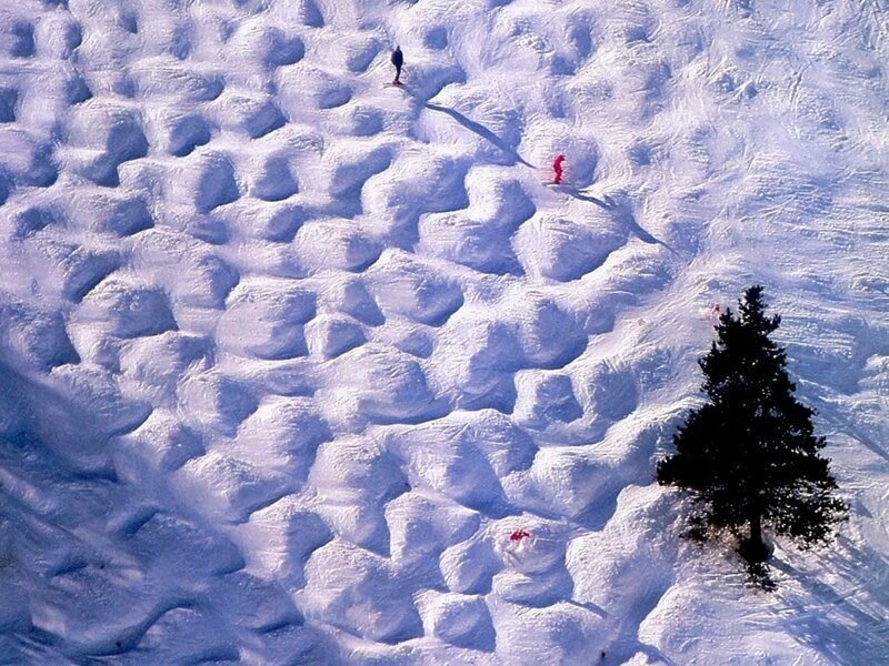Skiers on Snowy Slope