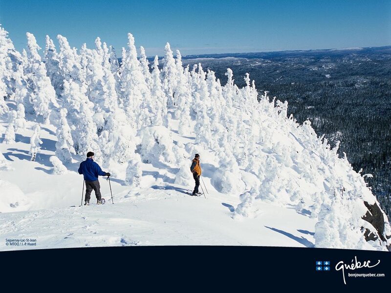 Skiers on Snowy Slope — White, Serene