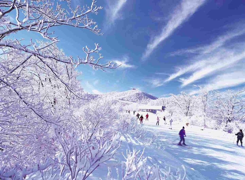 Skiers on Snowy Slope — White, Serene, Winter