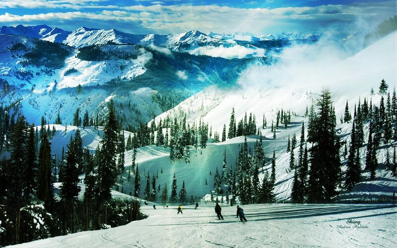 Skiers on Snowy Slope — White