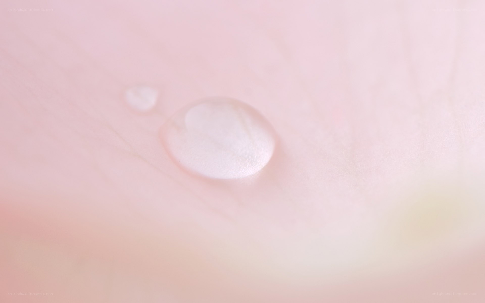 skin with water droplets