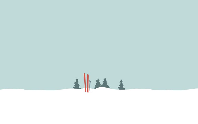 Skis and Trees in Snow