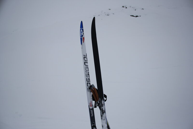 Skis in Snow — White, Cold, Winter
