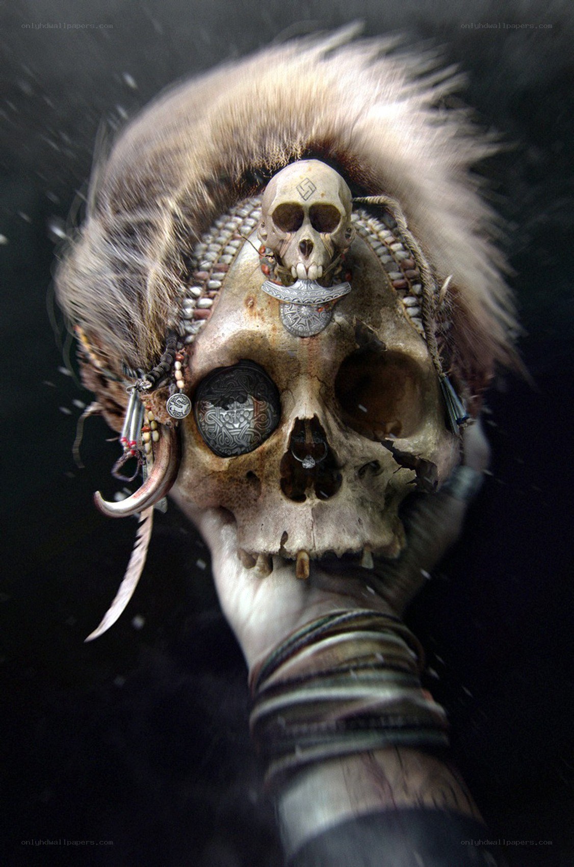 skull adorned with skull and feathers