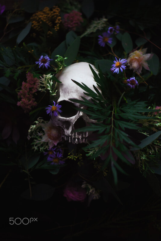 Skull Among Flowers — Black, Dark