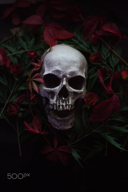Skull Among Flowers — Black