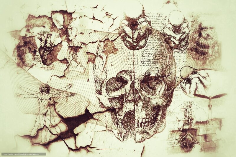 Skull and Anatomical Drawings