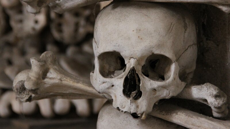 skull and bones in ossuary