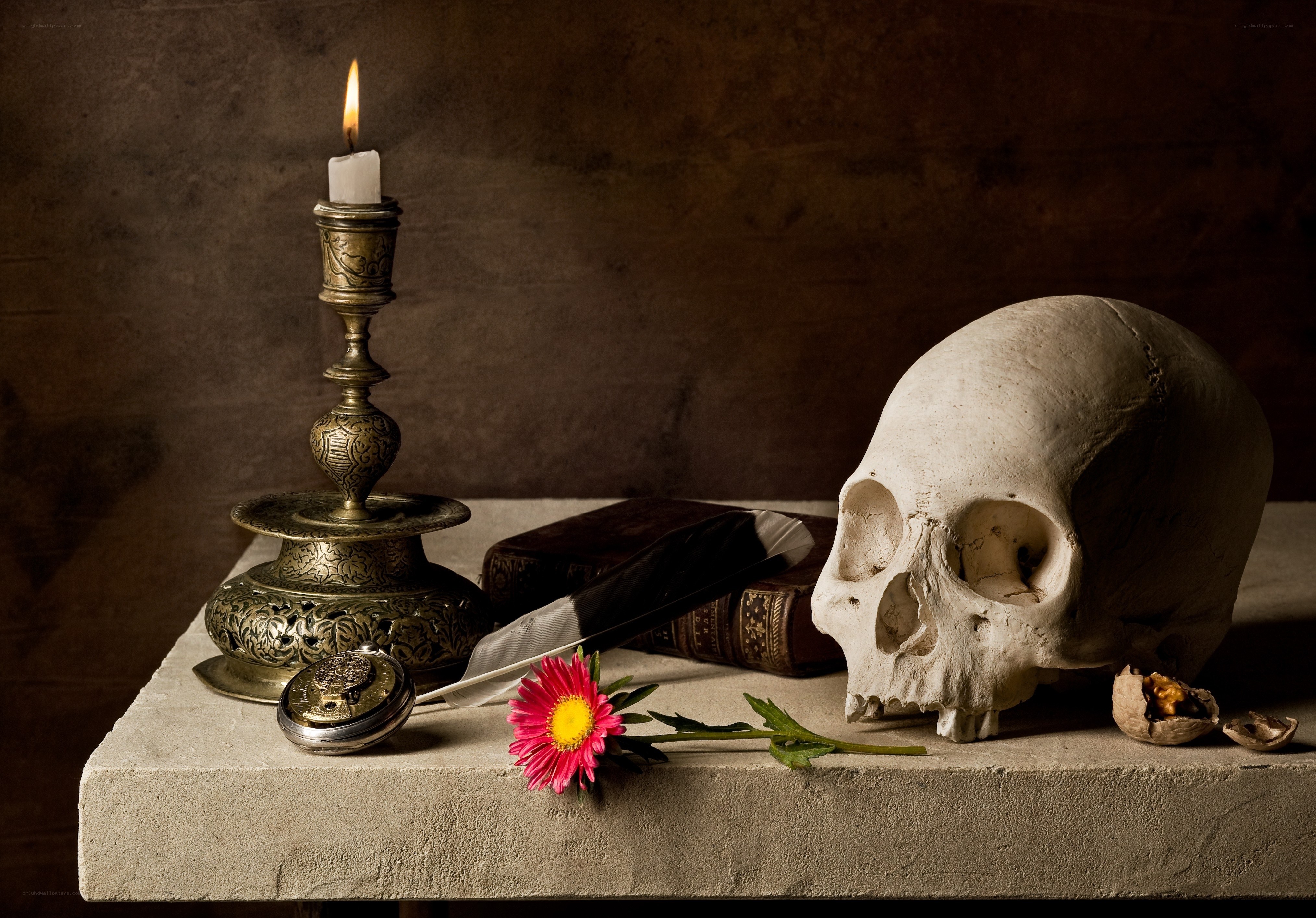 Skull and candle still life