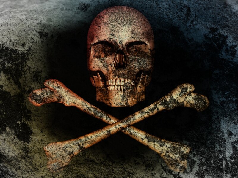Skull and Crossbones — Brown