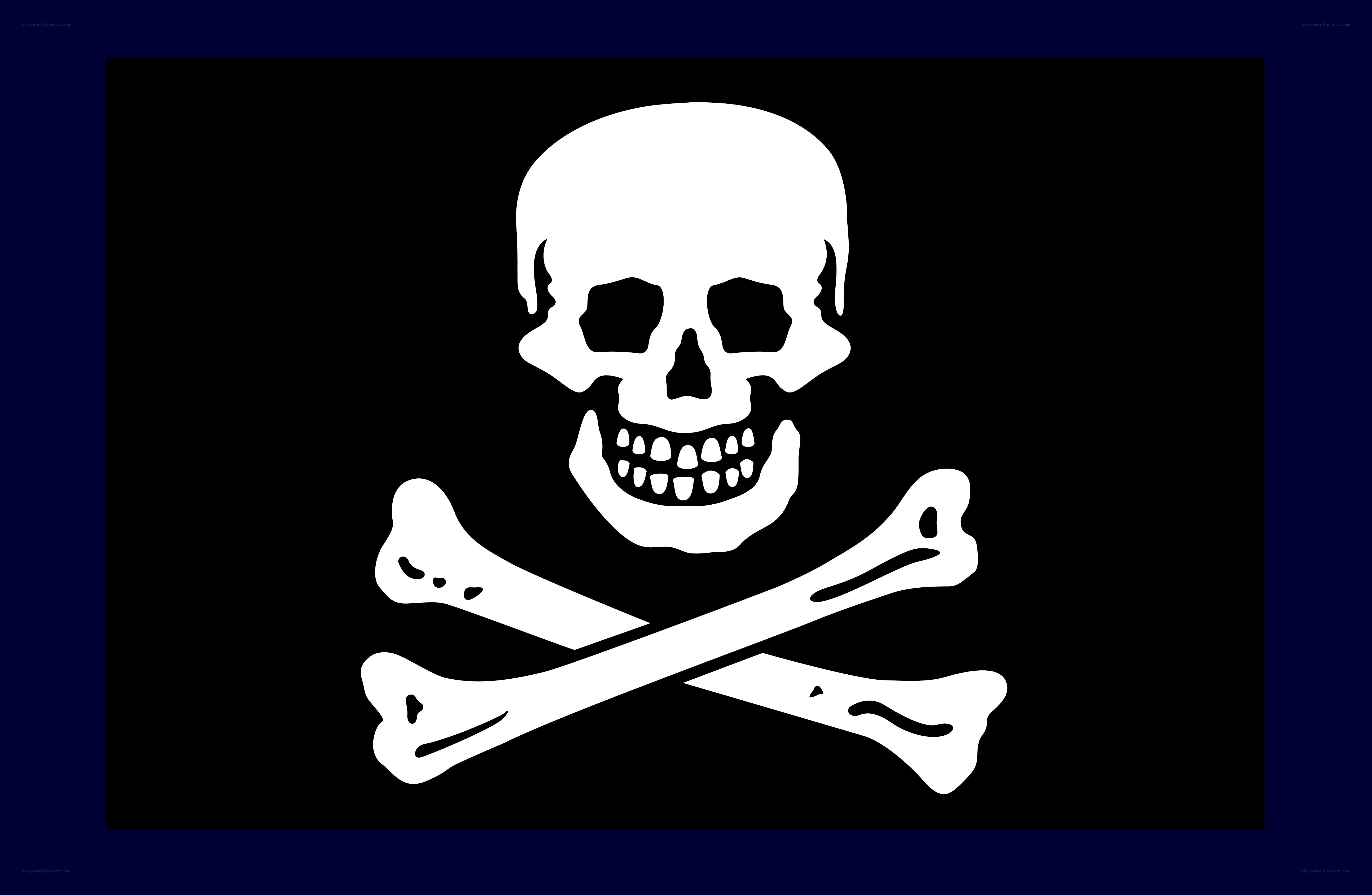 skull and crossbones flag