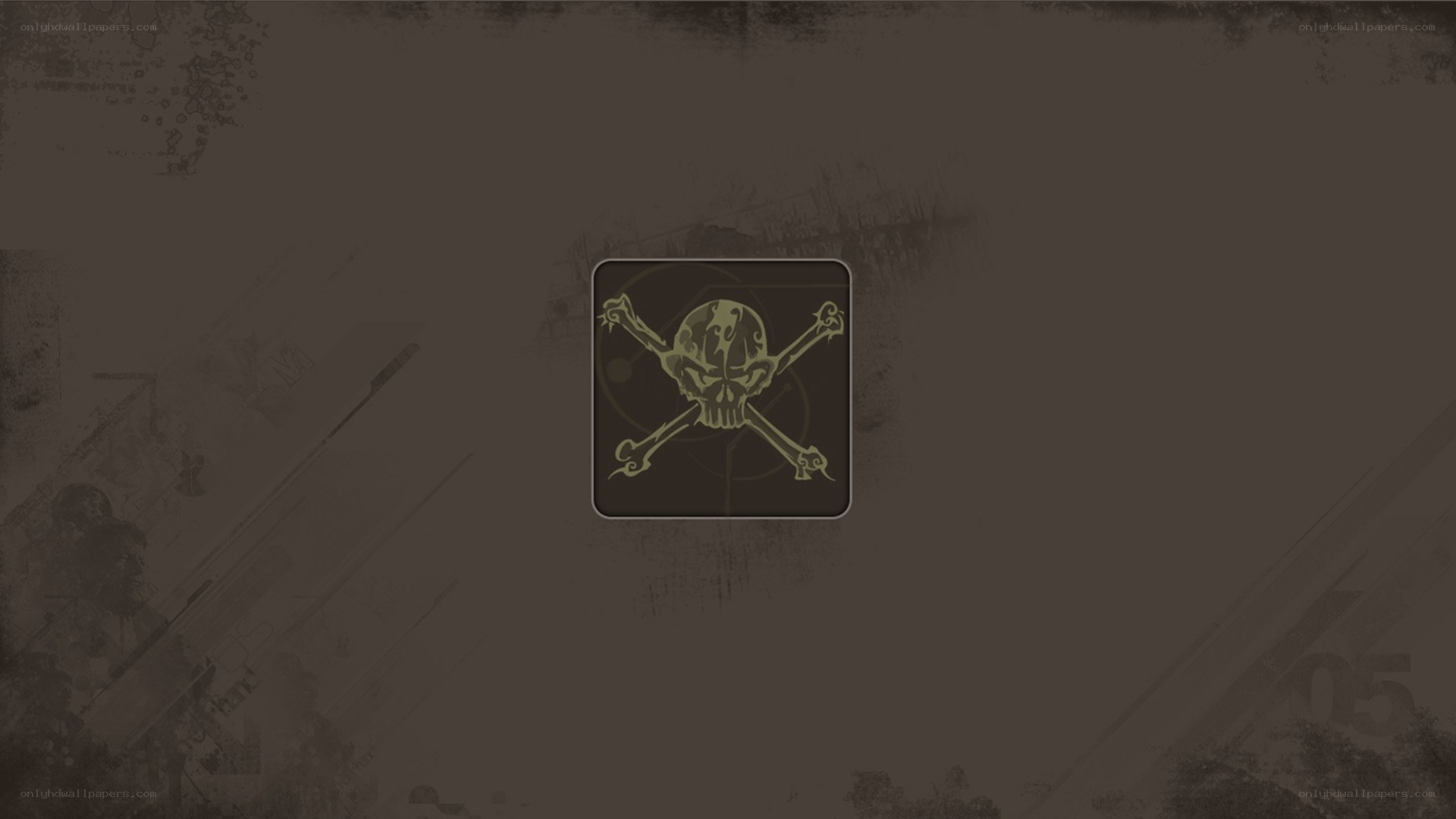 skull and crossbones icon