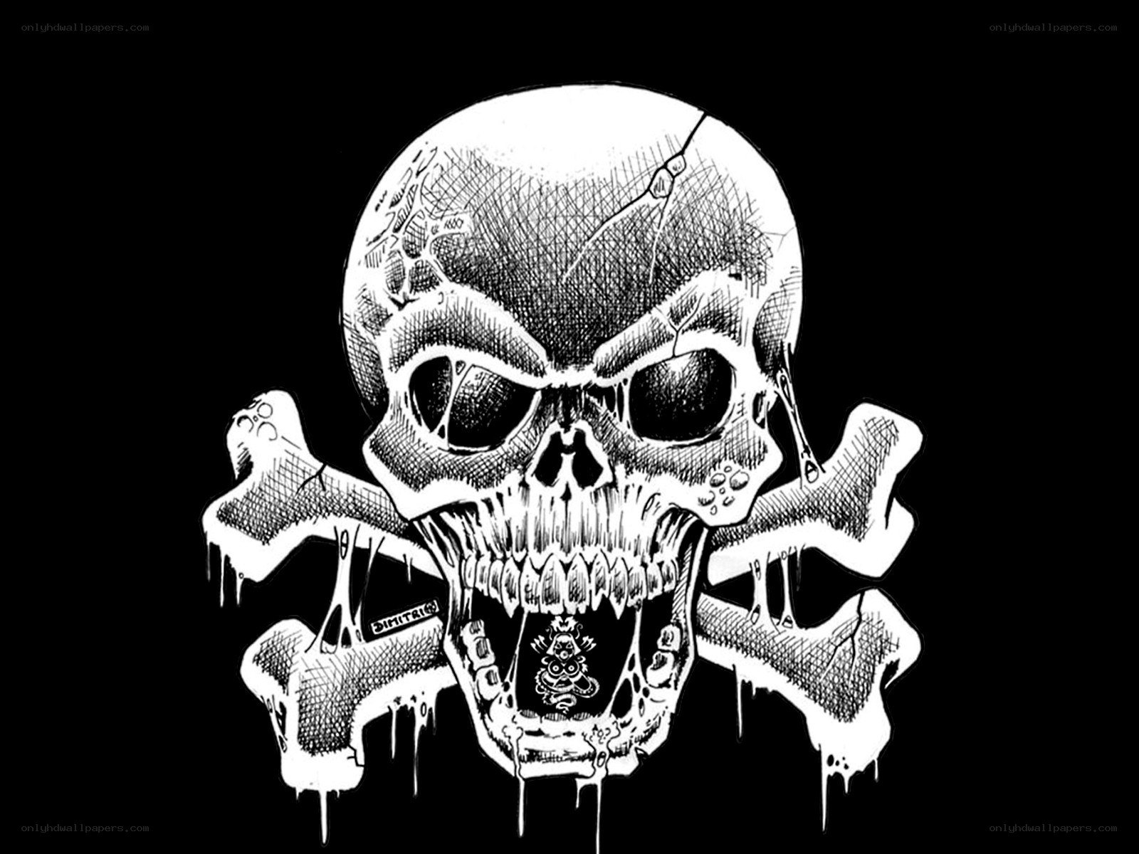 skull and crossbones illustration