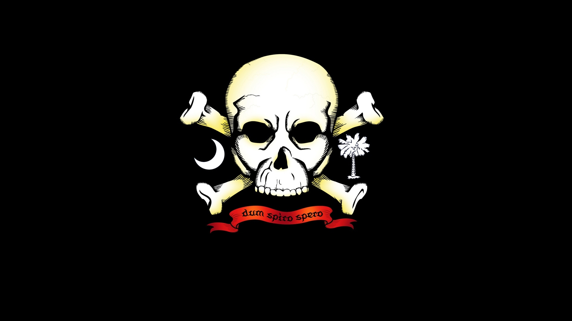 skull and crossbones with palm tree