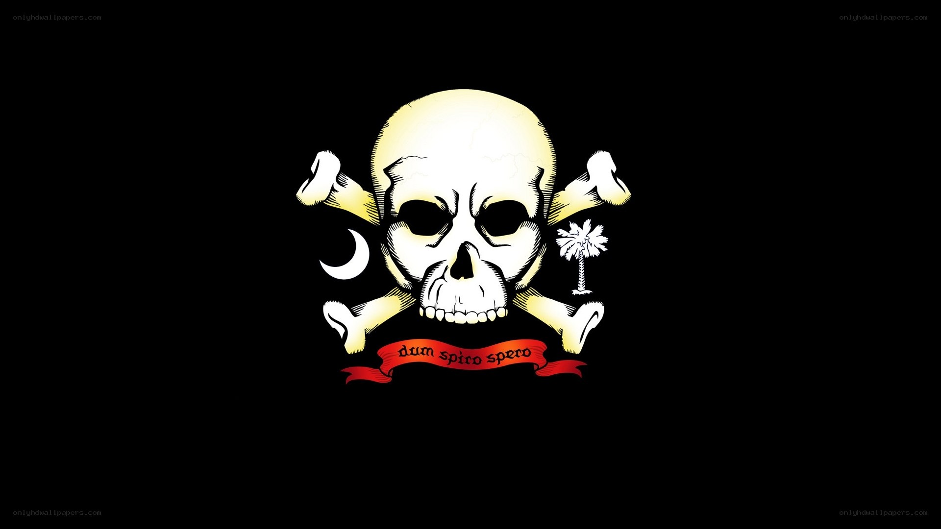 skull and crossbones with palm tree
