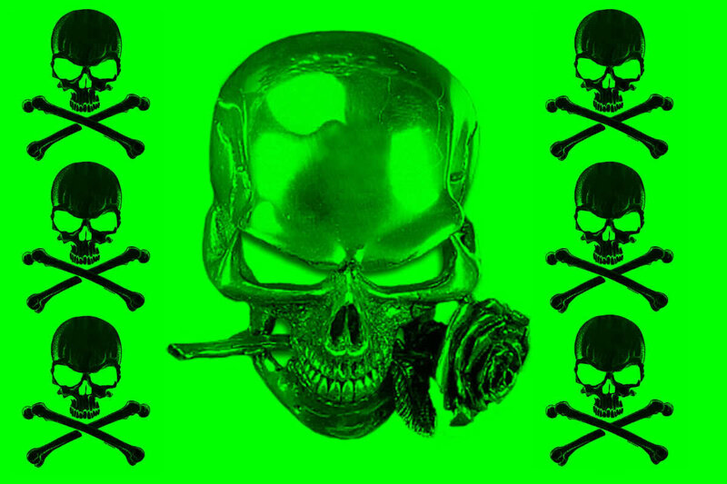 Skull and crossbones with rose