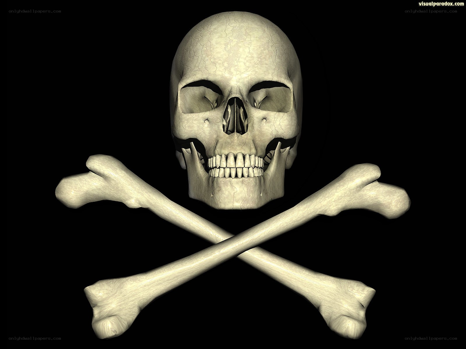skull and crossbones