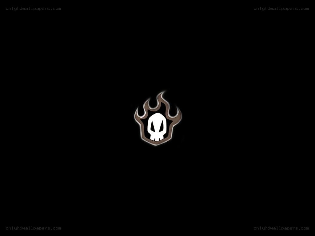skull and flames logo