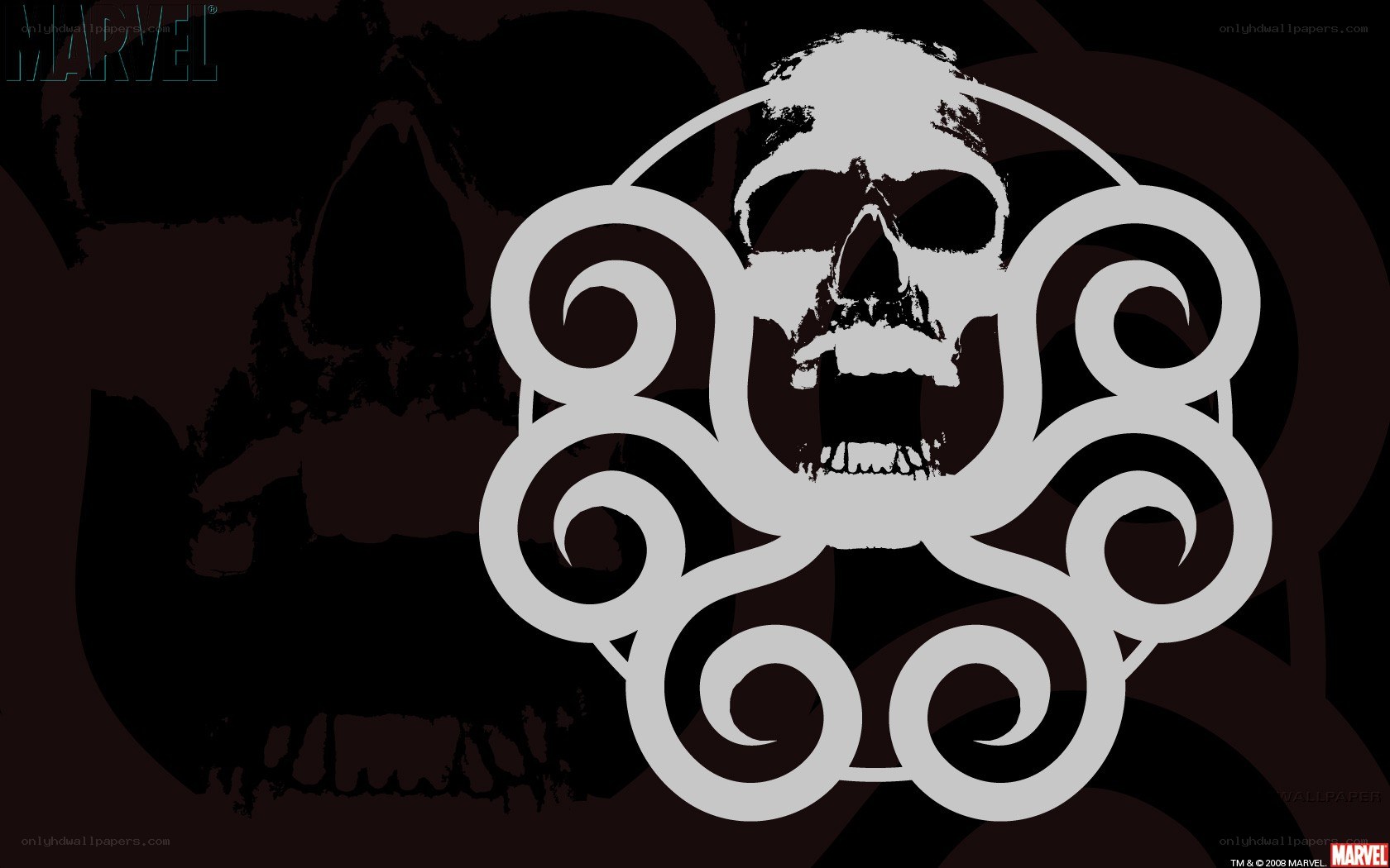 Skull and octopus logo