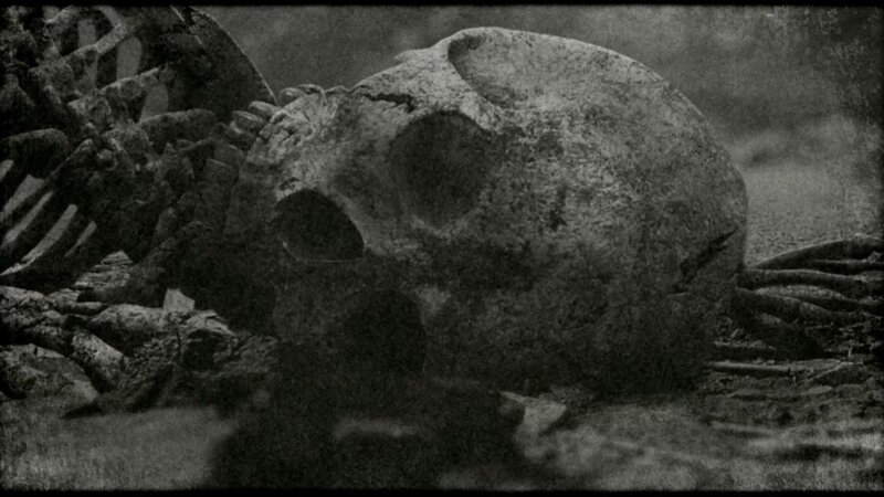 Skull and Skeleton