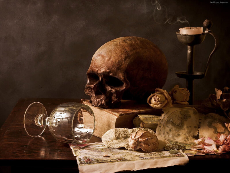 skull and still life objects