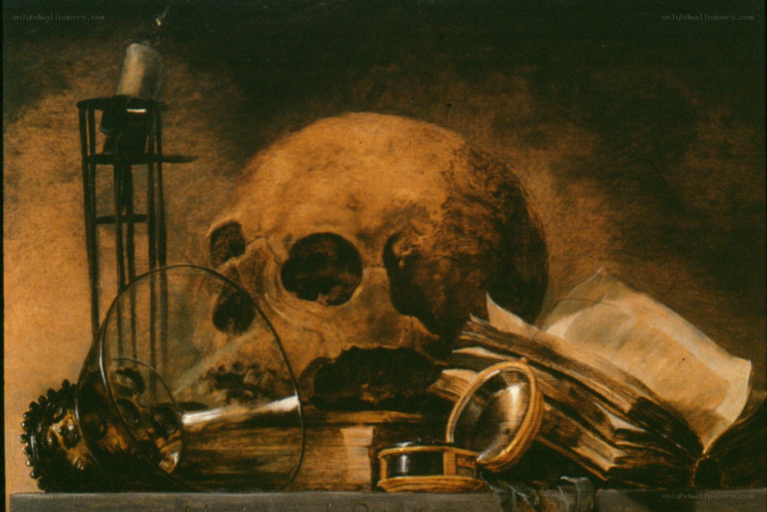 Skull and still life objects