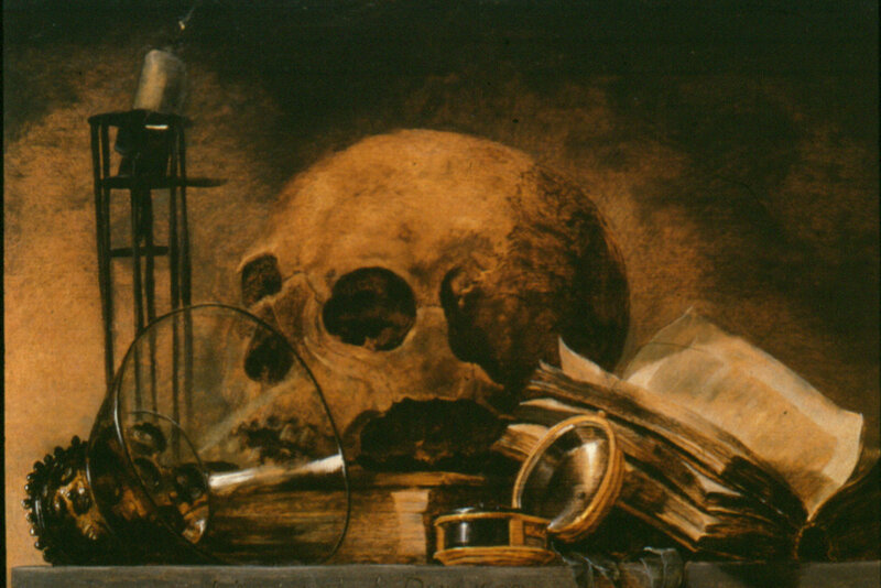 Skull and Still Life Objects — Brown, Dramatic