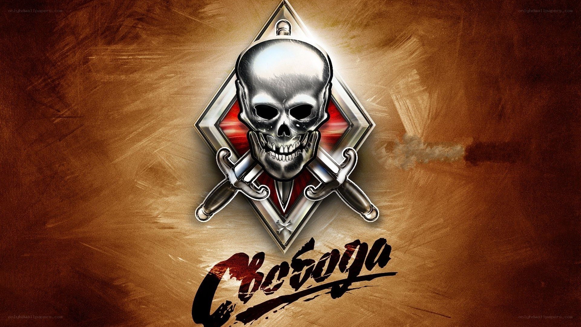 Skull and swords emblem