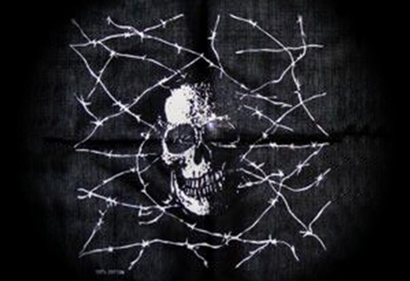 Skull Behind Barbed Wire