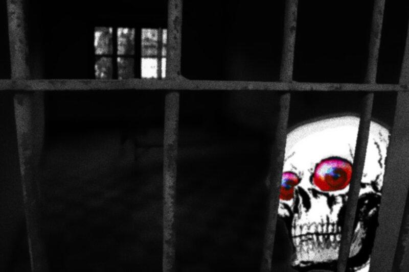 Skull Behind Bars