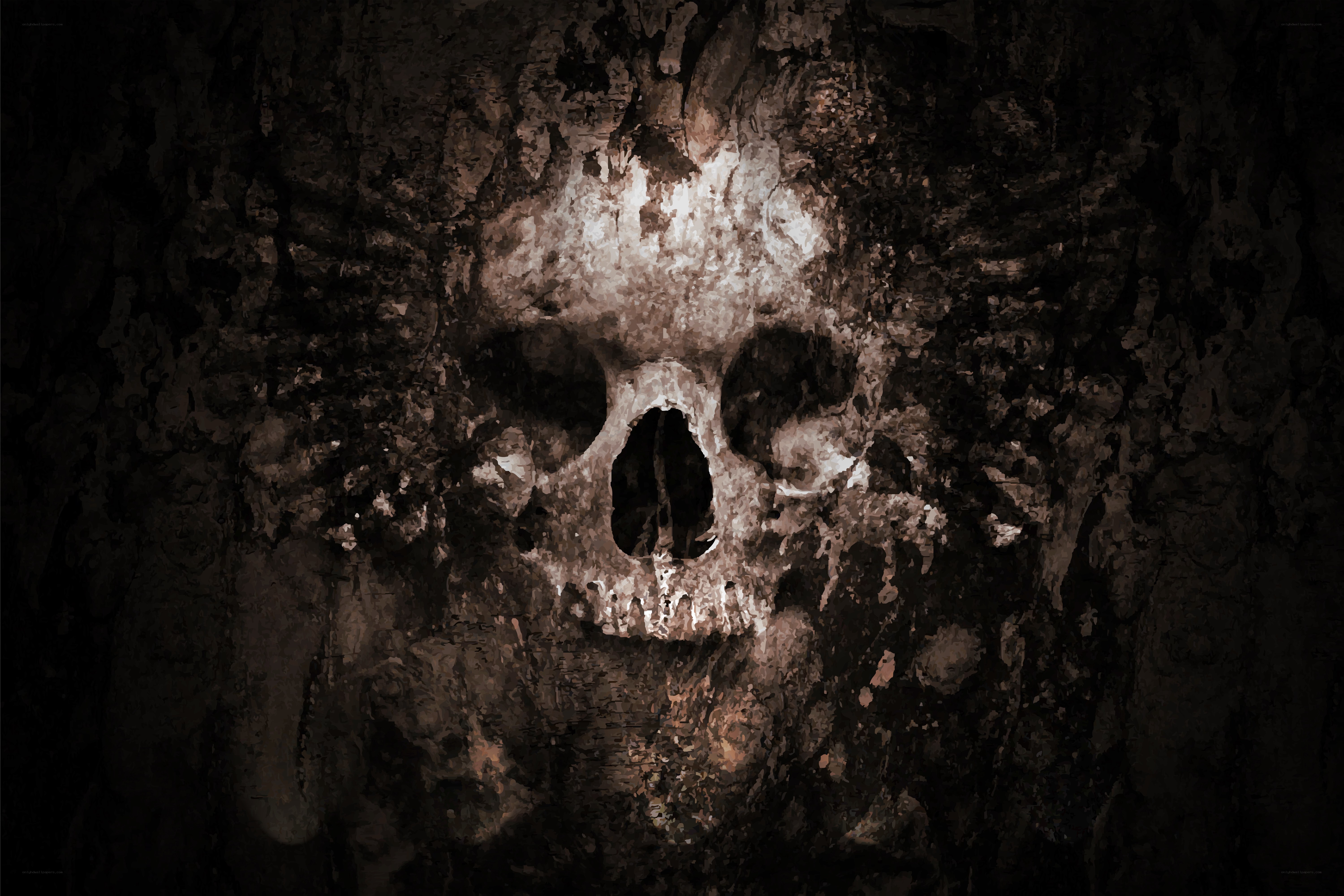 skull carved in cave wall
