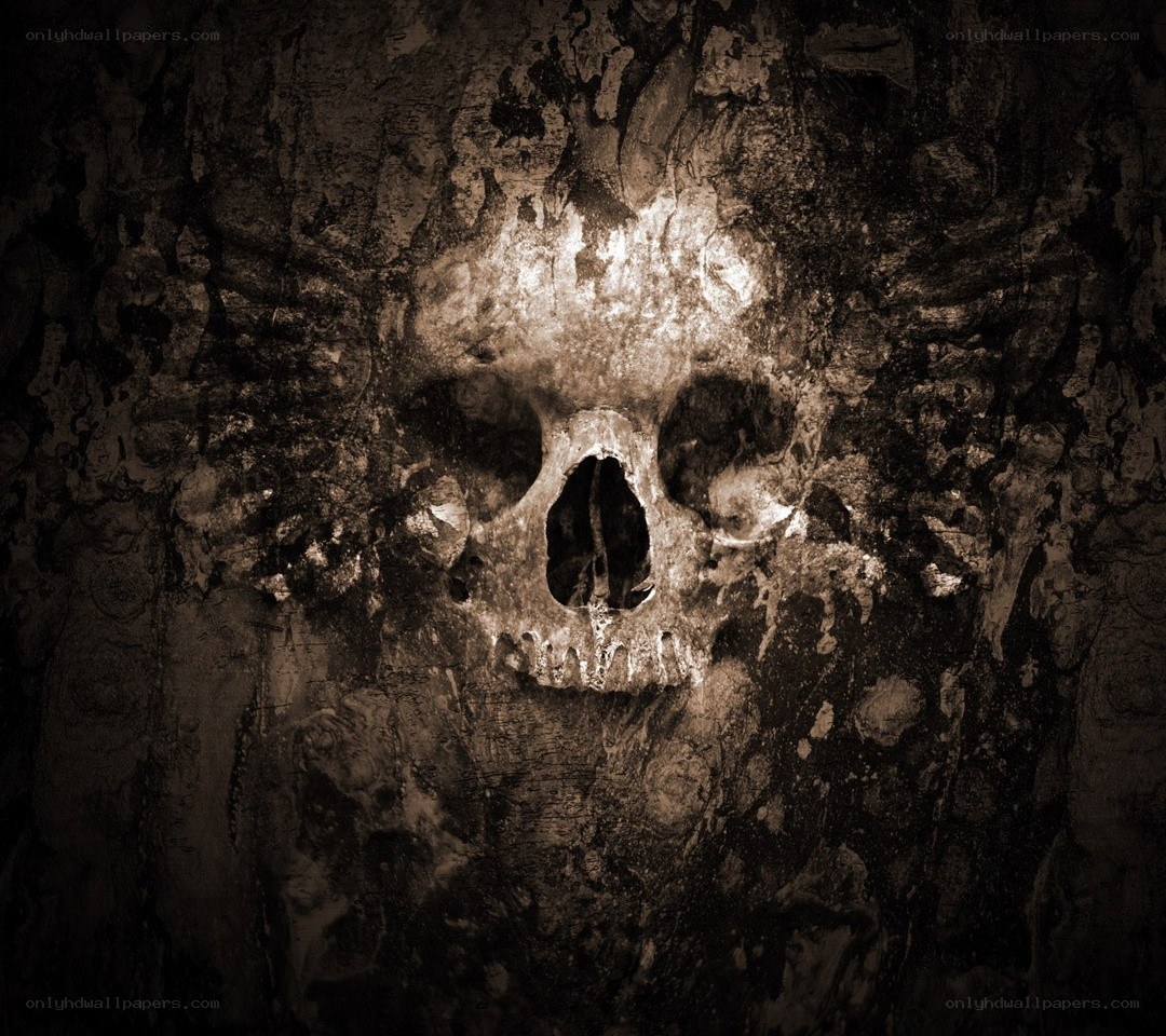 skull carved into stone