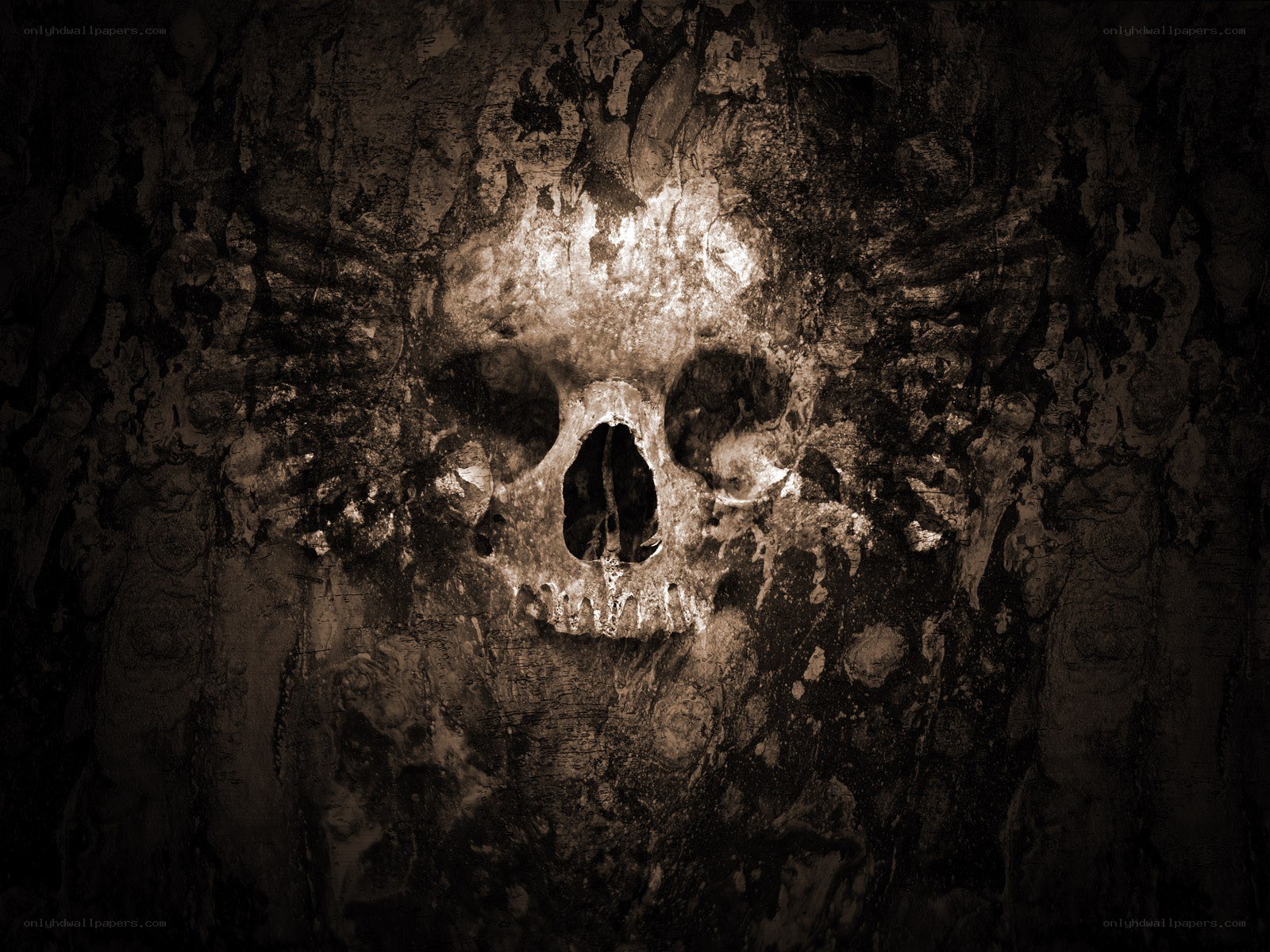 skull carved into stone wall