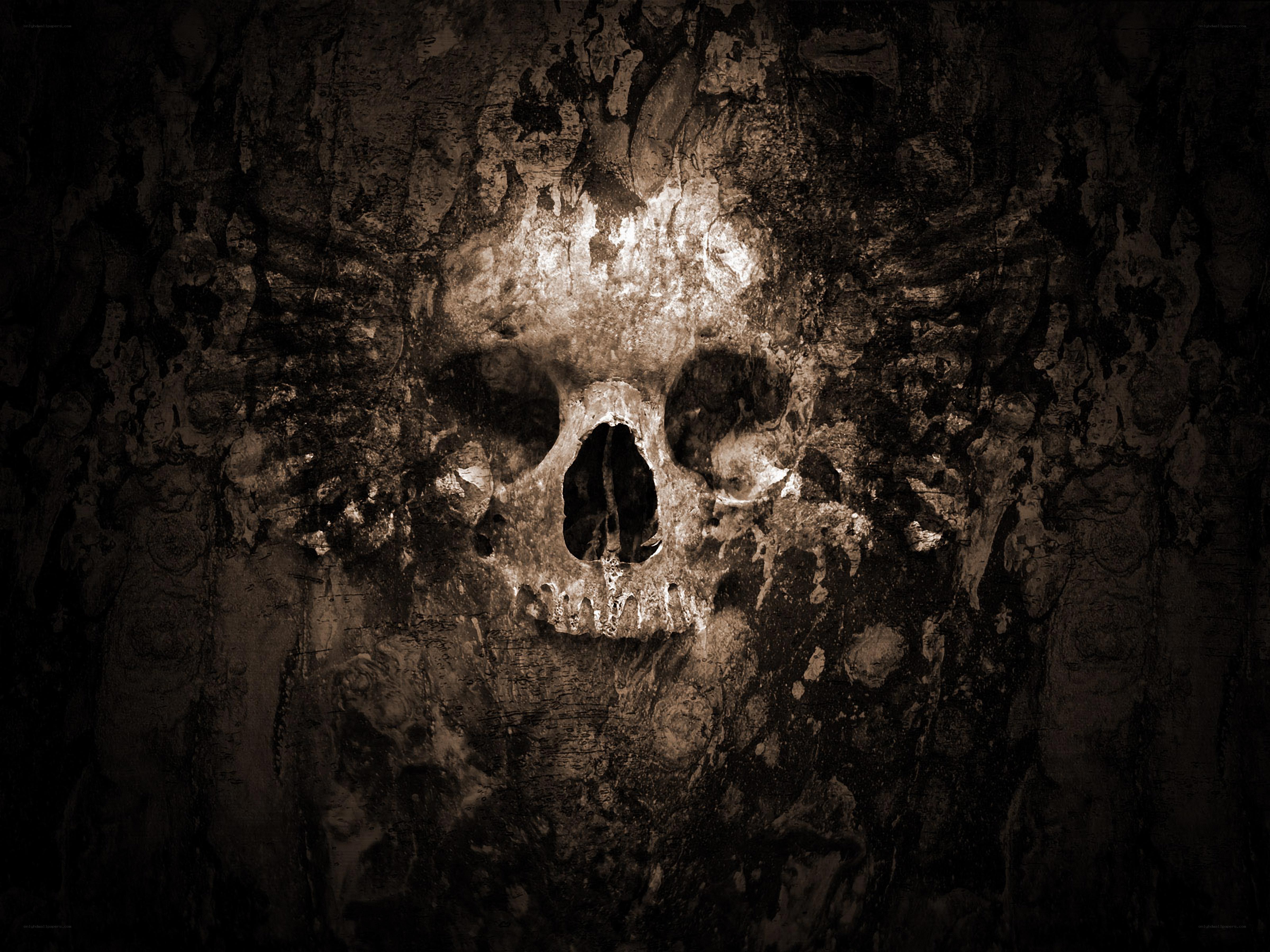 skull carved into stone wall