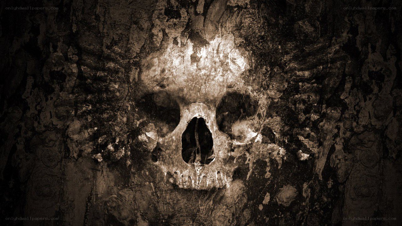 skull carved into stone